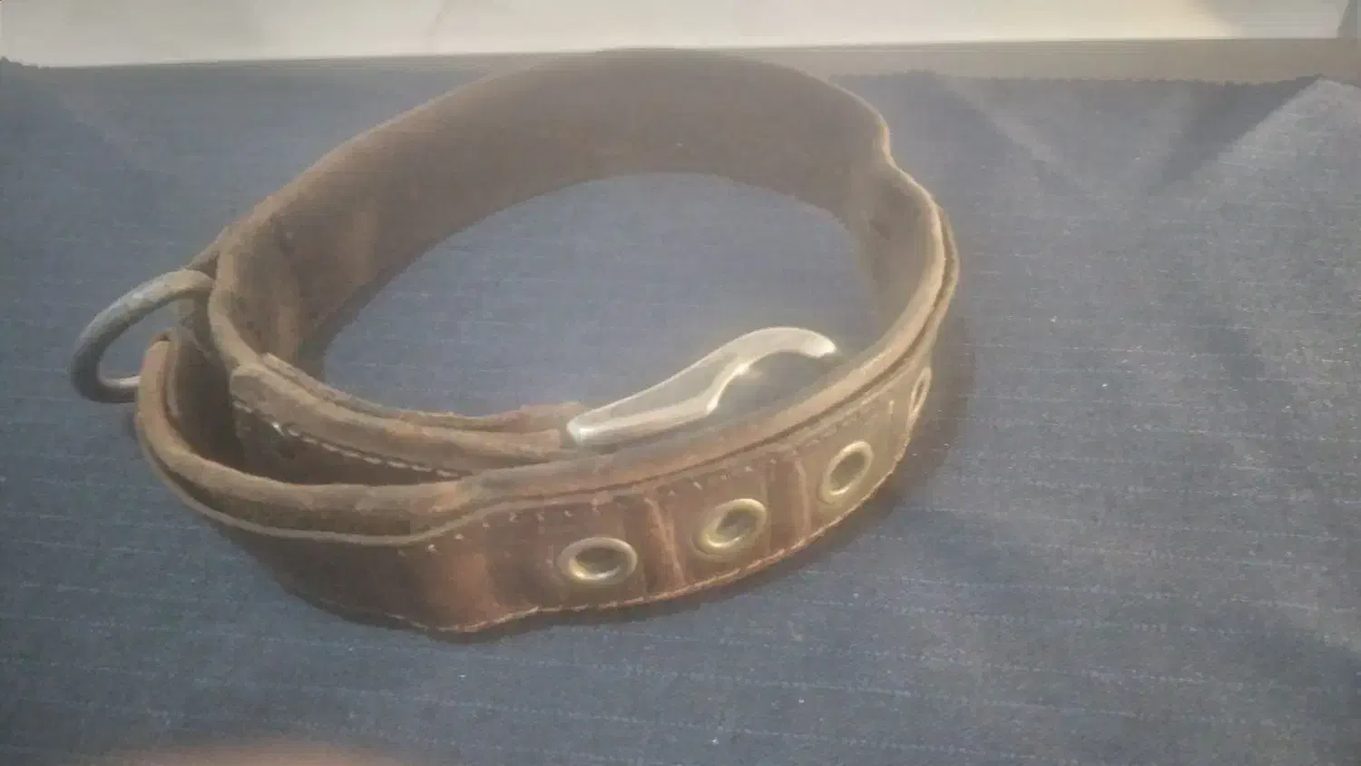 قلاده چرمی سگ|لوازم جانبی حیوانات|وحیدیه, |دیوار