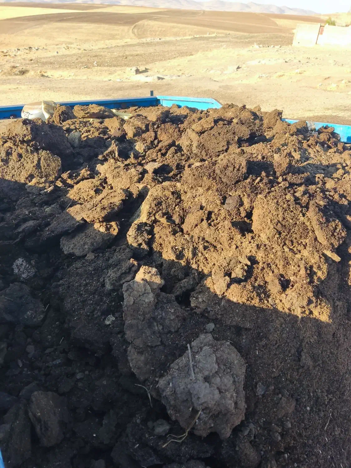 کود حیوانی برای باغداران عزیز کود دو سه ساله|خدمات باغبانی و درختکاری|نختالو, |دیوار