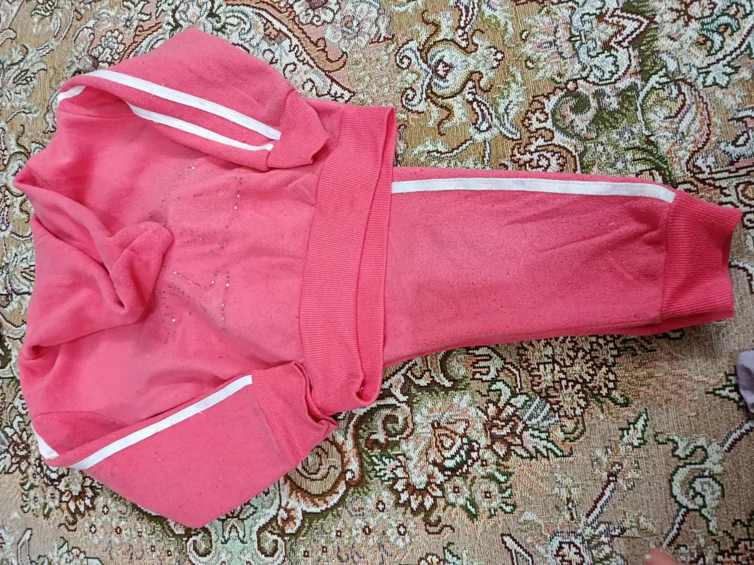 هودی شلوار نوی نو|لباس|گلبهار, شهر جدید گلبهار|دیوار