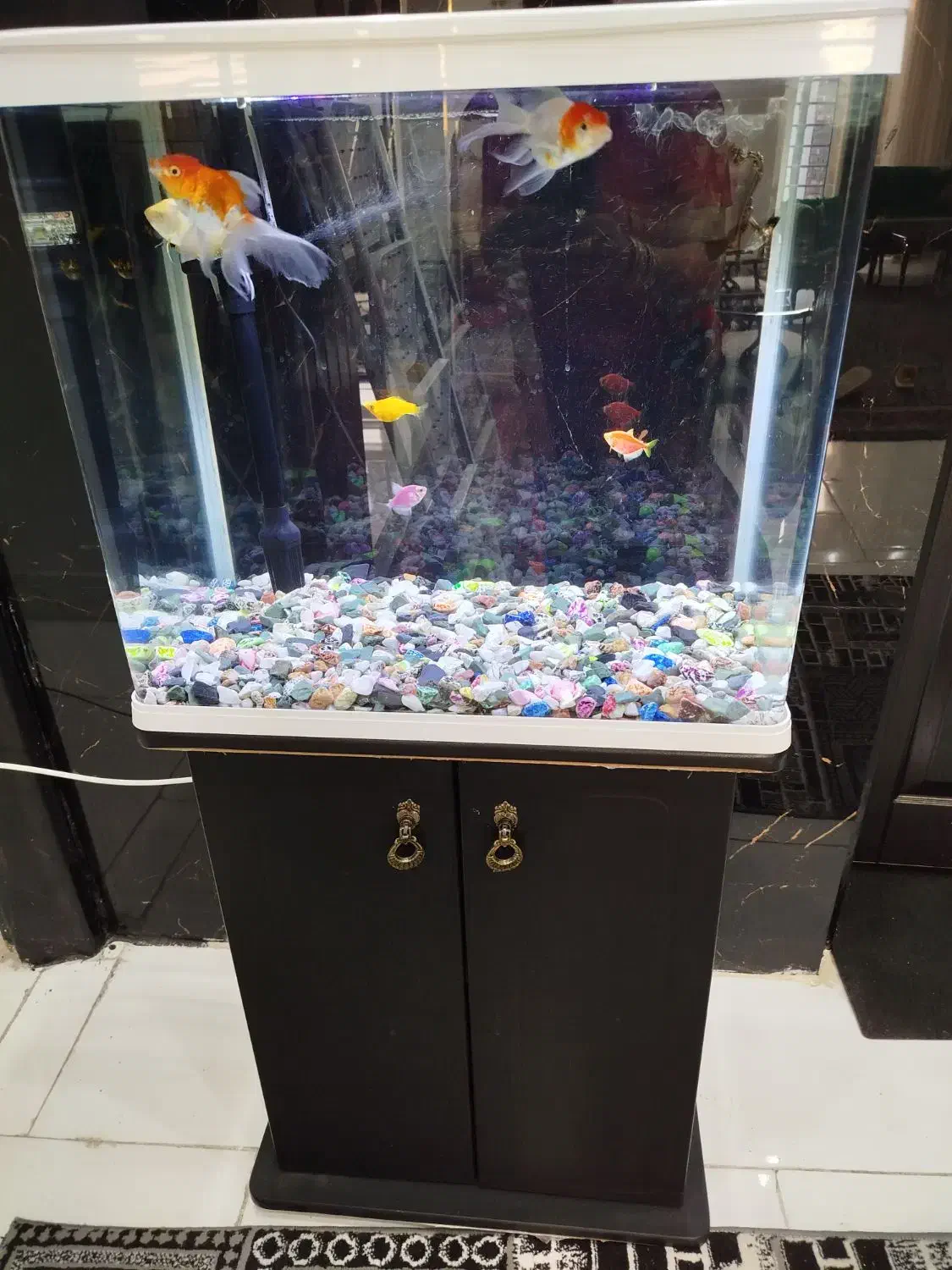 آکواریوم کمدی در حد نو سالم|ماهی|زابل, |دیوار