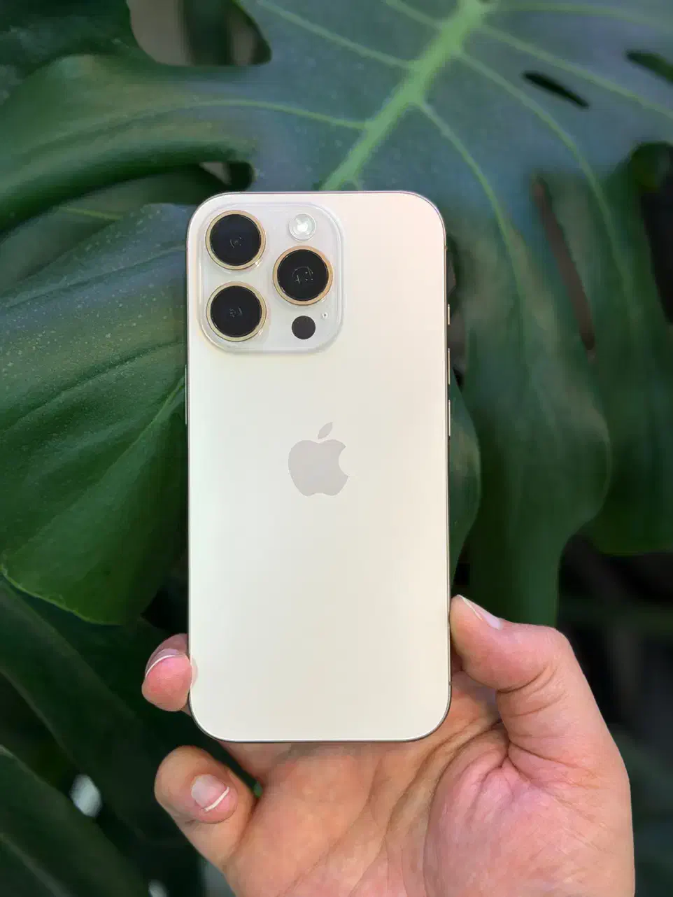 ابفون ۱۶ پرو با گارانتی و رجیستر|موبایل|مشهد, کوثر|دیوار