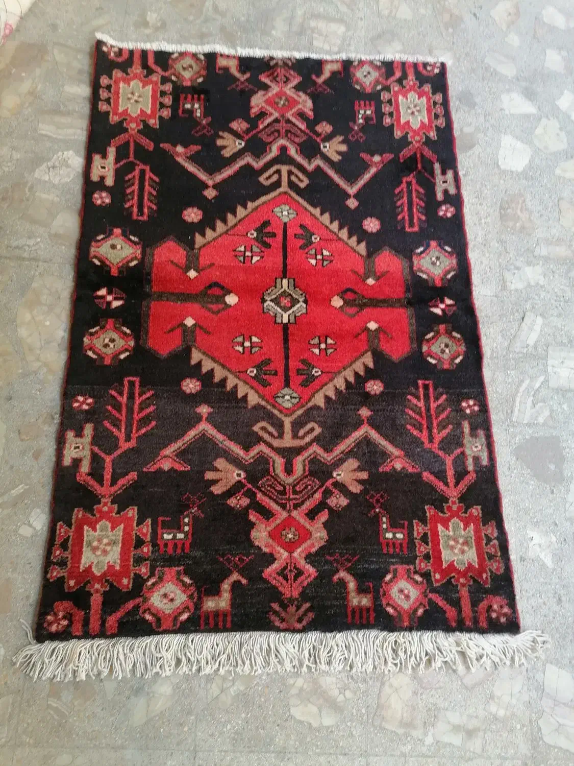 زرع و نیم همدان سالم|فرش|تهران, صادقیه|دیوار