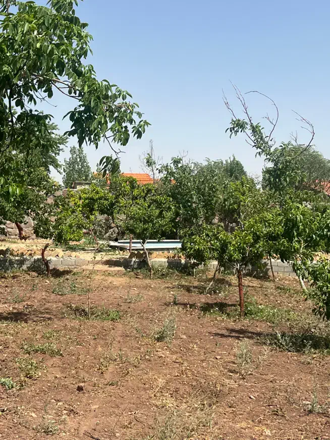 فروش زمین ۵۰۰ متری در جابان|فروش زمین و ملک کلنگی|دماوند, گیلاوند|دیوار