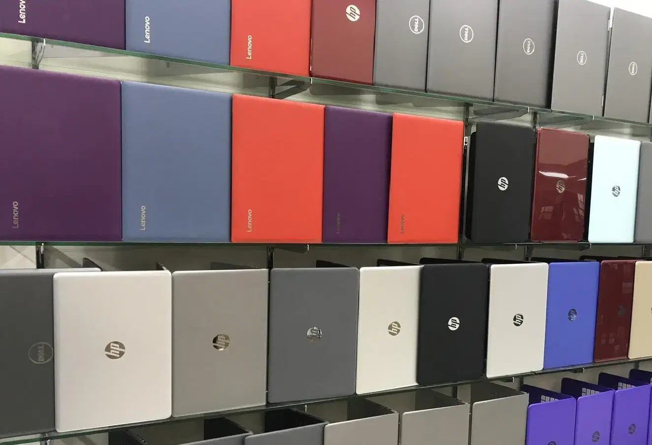 دعوت به همکاری|استخدام رایانه و فناوری اطلاعات|لالی, |دیوار