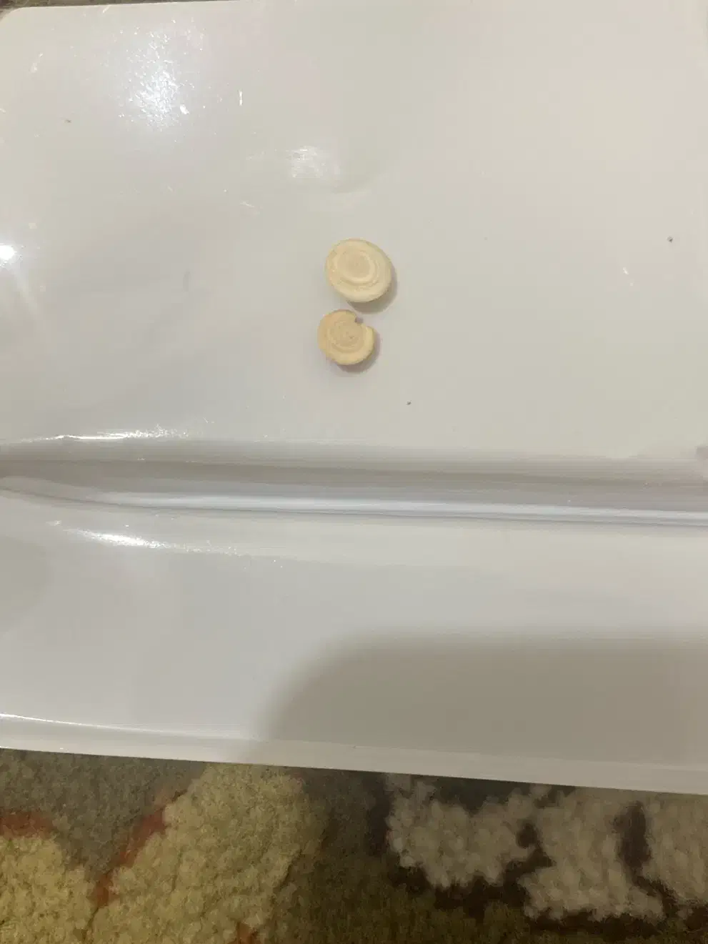 مهره|زیورآلات و اکسسوری|ساری, |دیوار