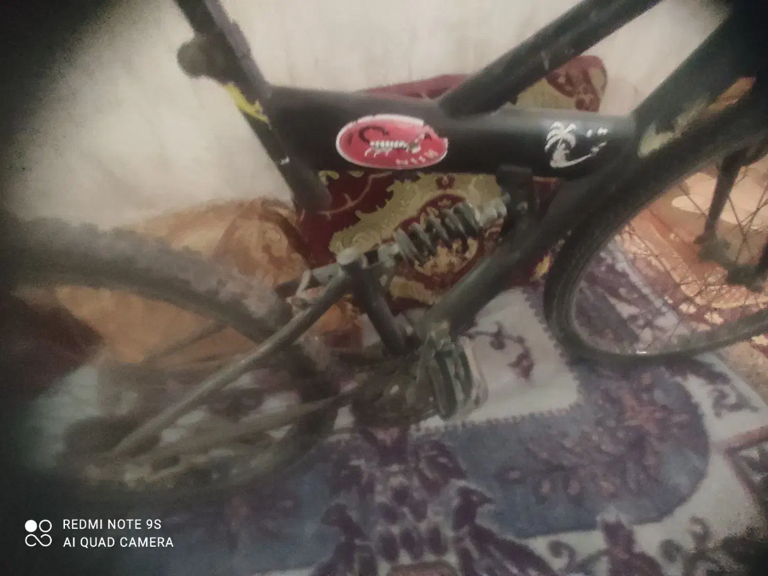 دوچرخه 24|دوچرخه، اسکیت، اسکوتر|خورموج, |دیوار