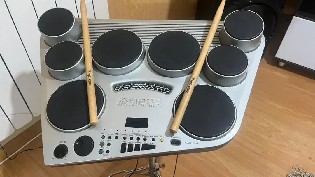 درام پرگاشن|درام و پرکاشن|رشت, بلوار گیلان|دیوار