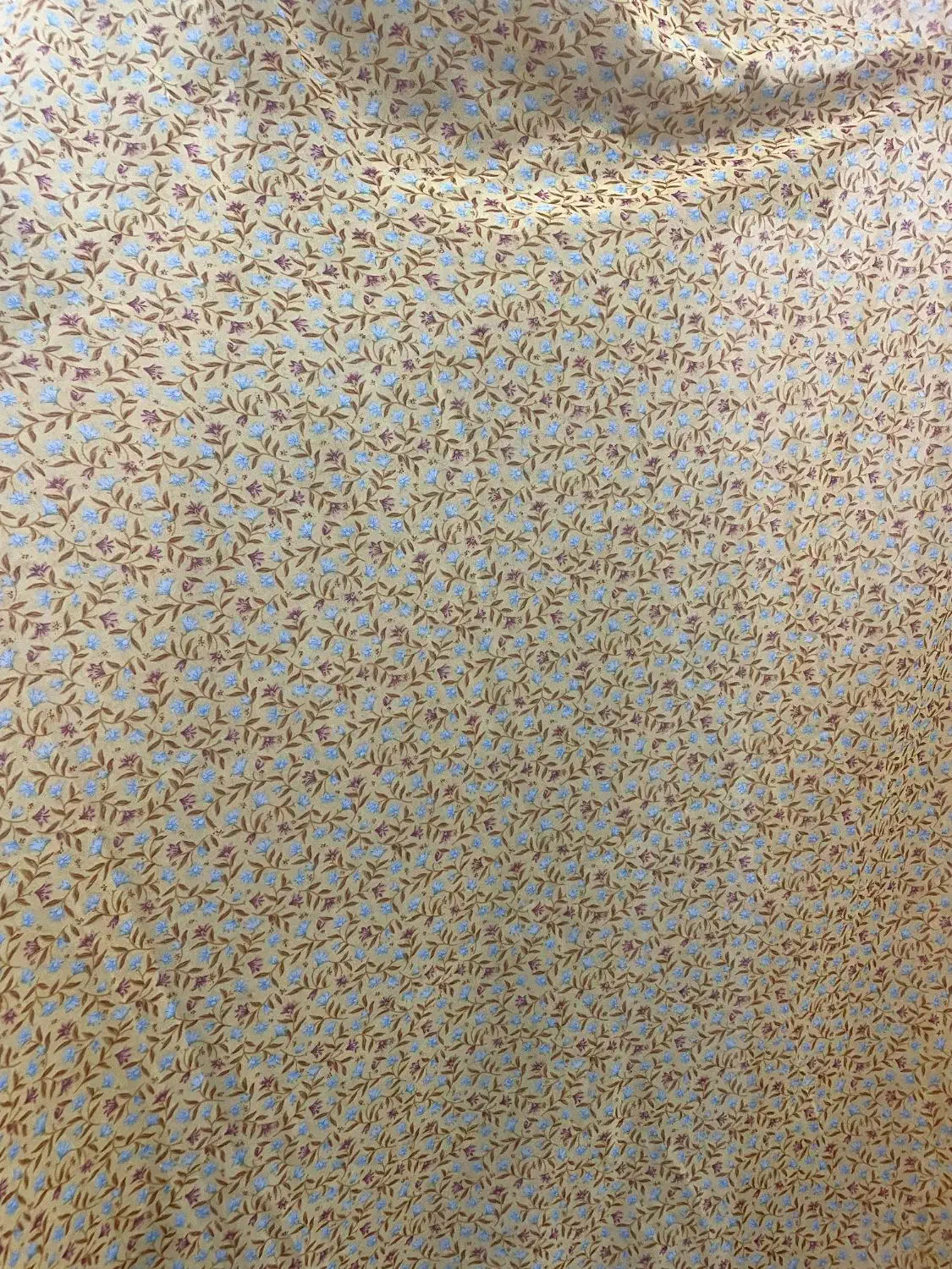 لباس|لباس|میناب, |دیوار