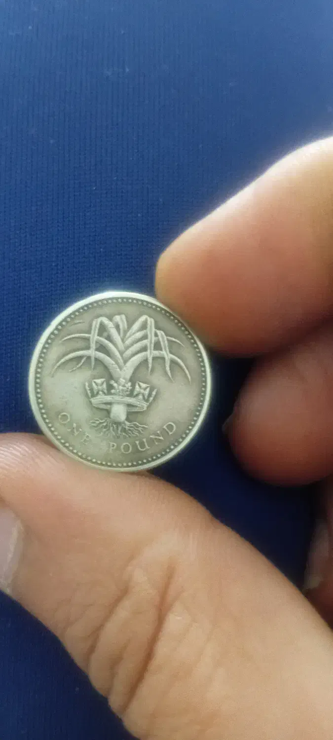 وسایل قدیمی|کلکسیون سکه، تمبر، اسکناس|صدرا-فارس, فاز ۱|دیوار