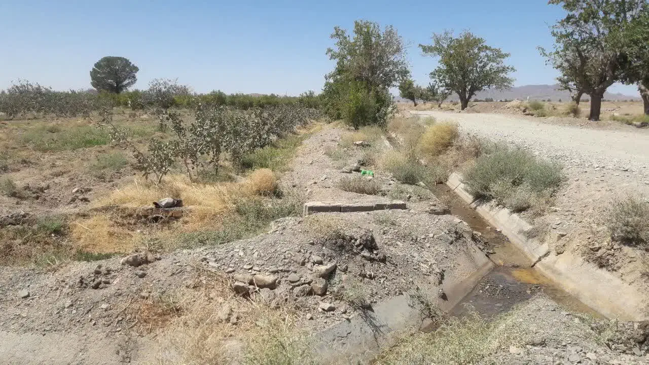 باغ پسته به همراه یک ساعت آب چاه عمیق|فروش زمین و ملک کلنگی|اسلامیه, |دیوار