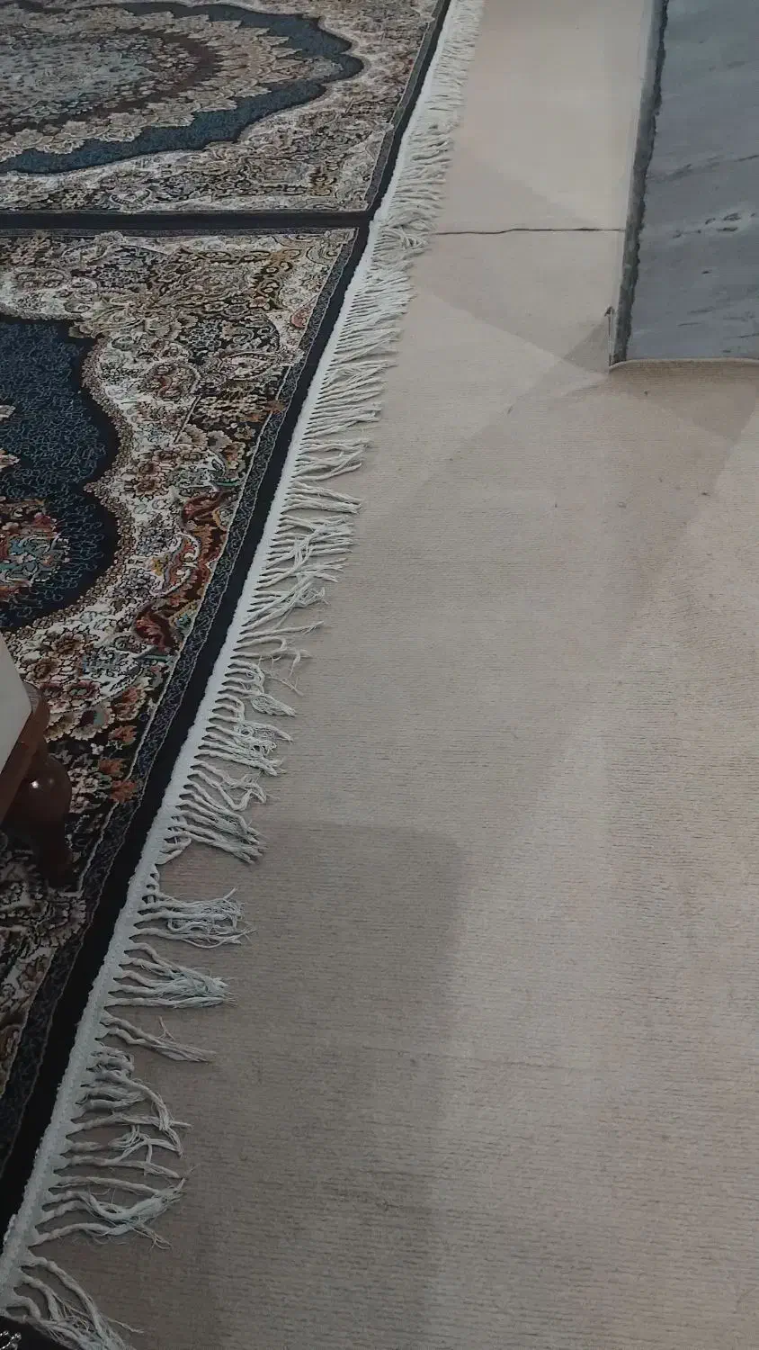 موکت کرمی|موکت|خلخال, |دیوار