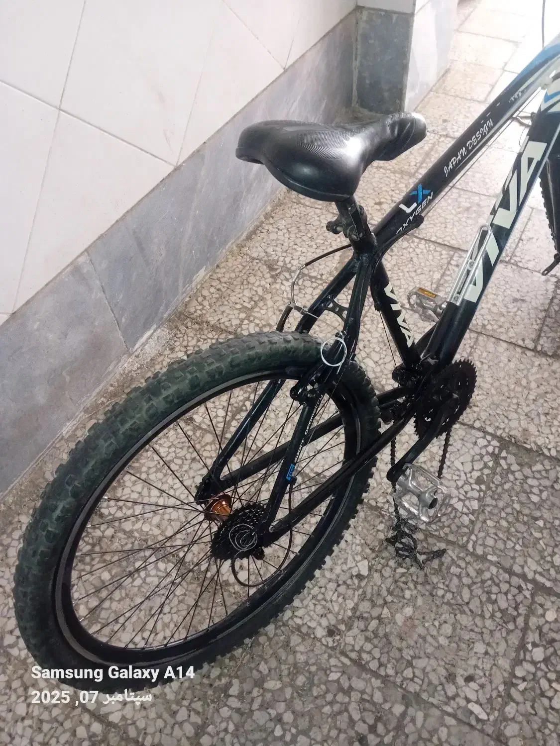 ورزشی|دوچرخه، اسکیت، اسکوتر|تهران, درختی|دیوار