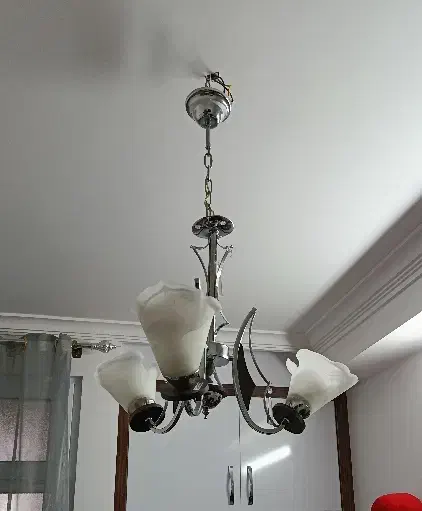 یک جفت لوستر|لوستر و چراغ آویز|قم, باغ کرباسی|دیوار