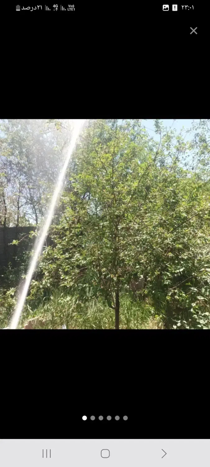 کودهی و کارهای کشاورزی و سم پاشی و حمل بار با وانت|خدمات باغبانی و درختکاری|مهاجران, |دیوار