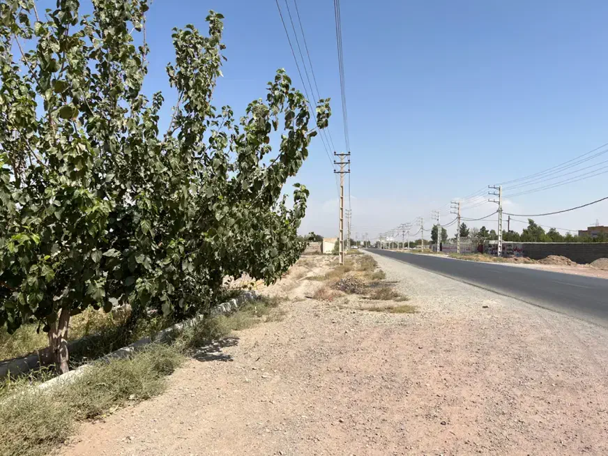 باغچه ۲۱۰۰ متر حصارمهتر دو کله با مجوز گلخانه|فروش زمین و ملک کلنگی|رباطکریم, حصار مهتر|دیوار