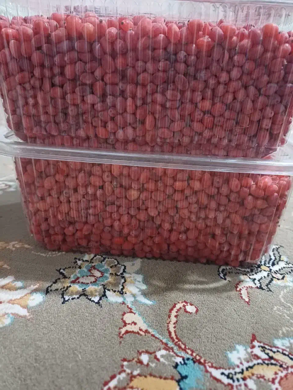 زرشک دانه شده با دست بدون دم وبرگ کیلویی240|خوردنی و آشامیدنی|تهران, ترمینال جنوب|دیوار