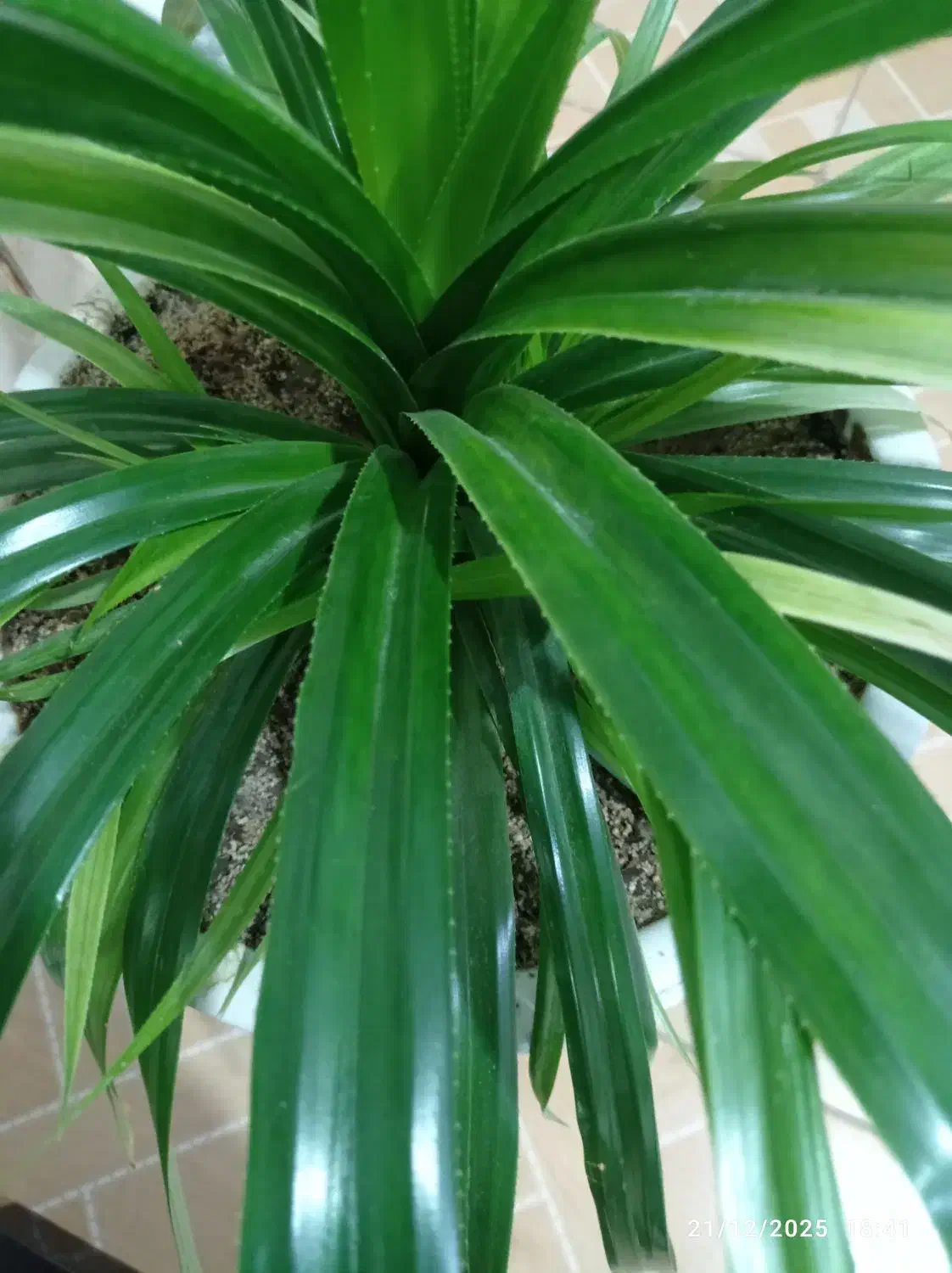 کود|عمدهفروشی|مرودشت, ثبت احوال|دیوار