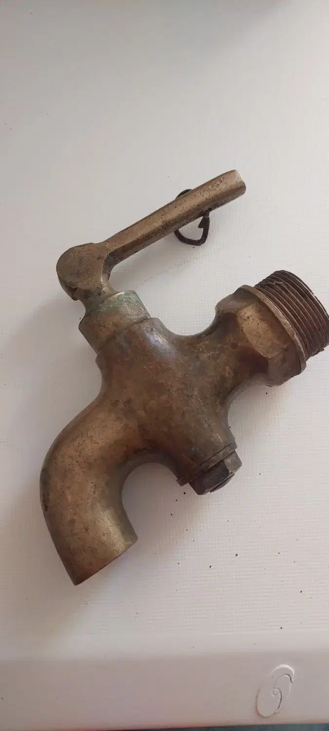 شیر برنزی|کلکسیون اشیاء عتیقه|خوی, |دیوار