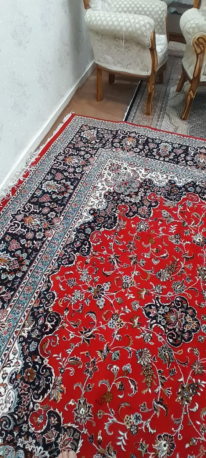 فرش ۱۲متری|فرش|کرج, بنیاد|دیوار