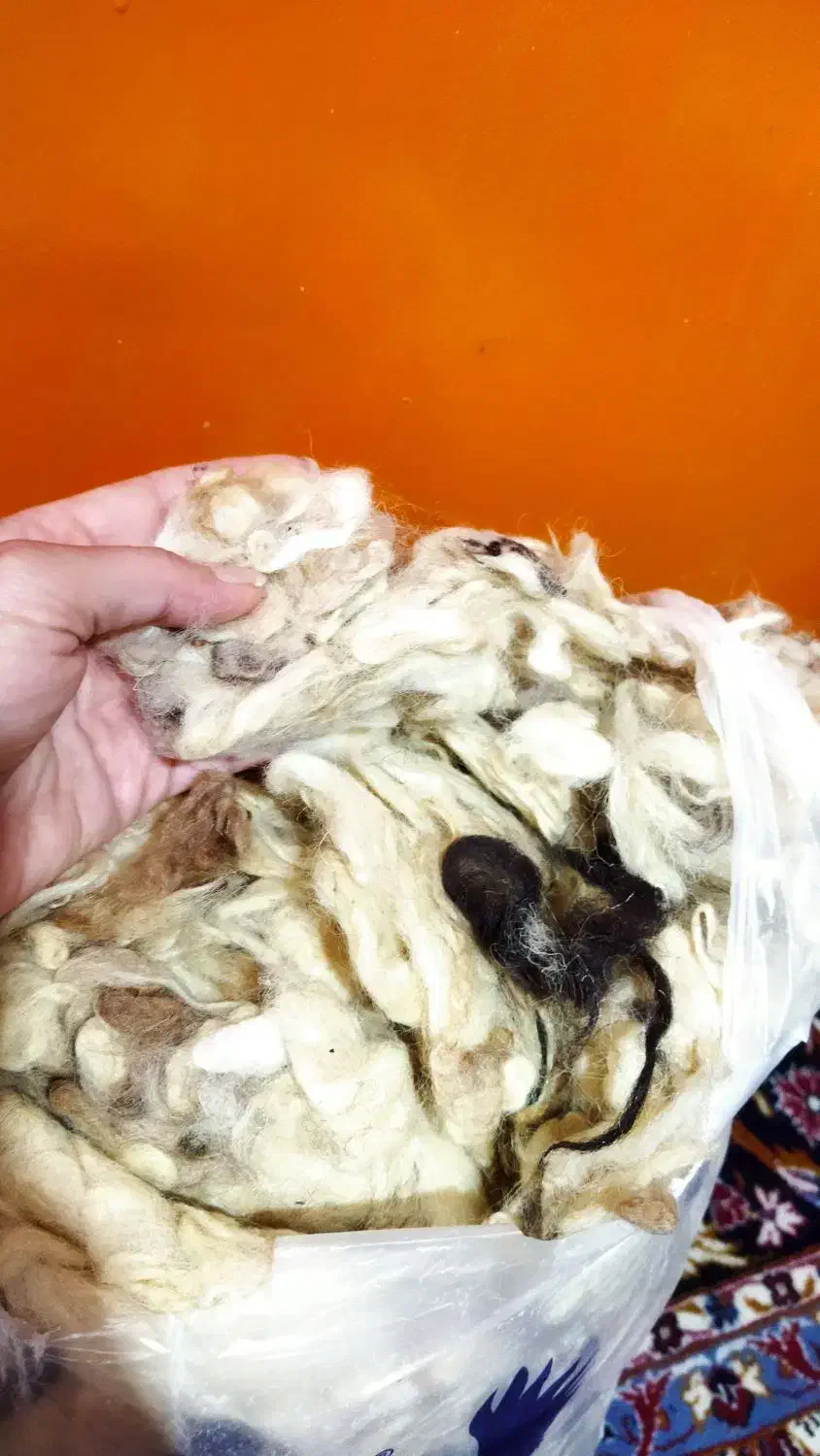 پشم گوسفند|رختخواب، بالش، پتو|بندر انزلی, بی بی حوریه|دیوار