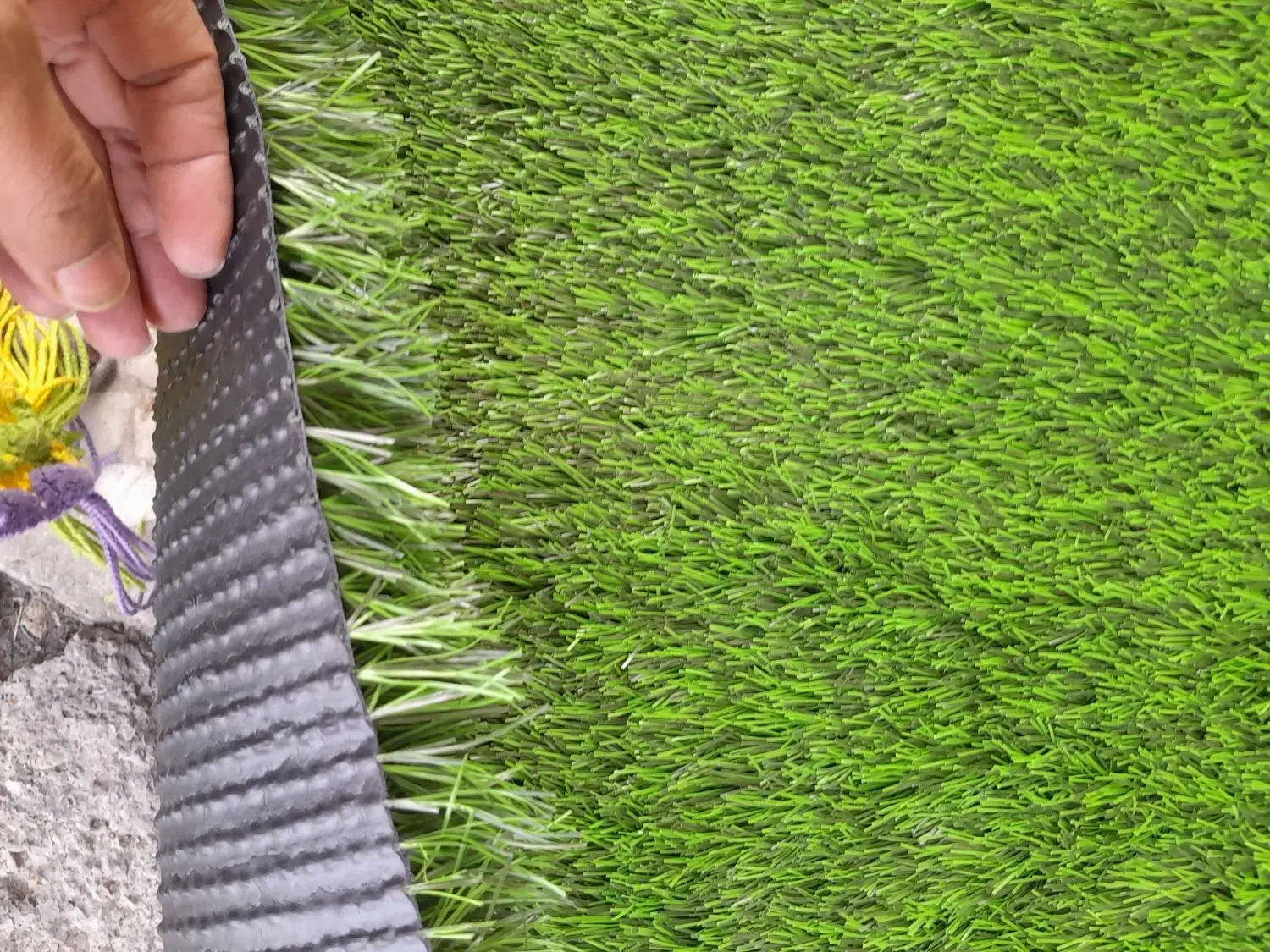 چمن 3سانتی|مصالح و تجهیزات ساختمان|اهواز, نادری|دیوار