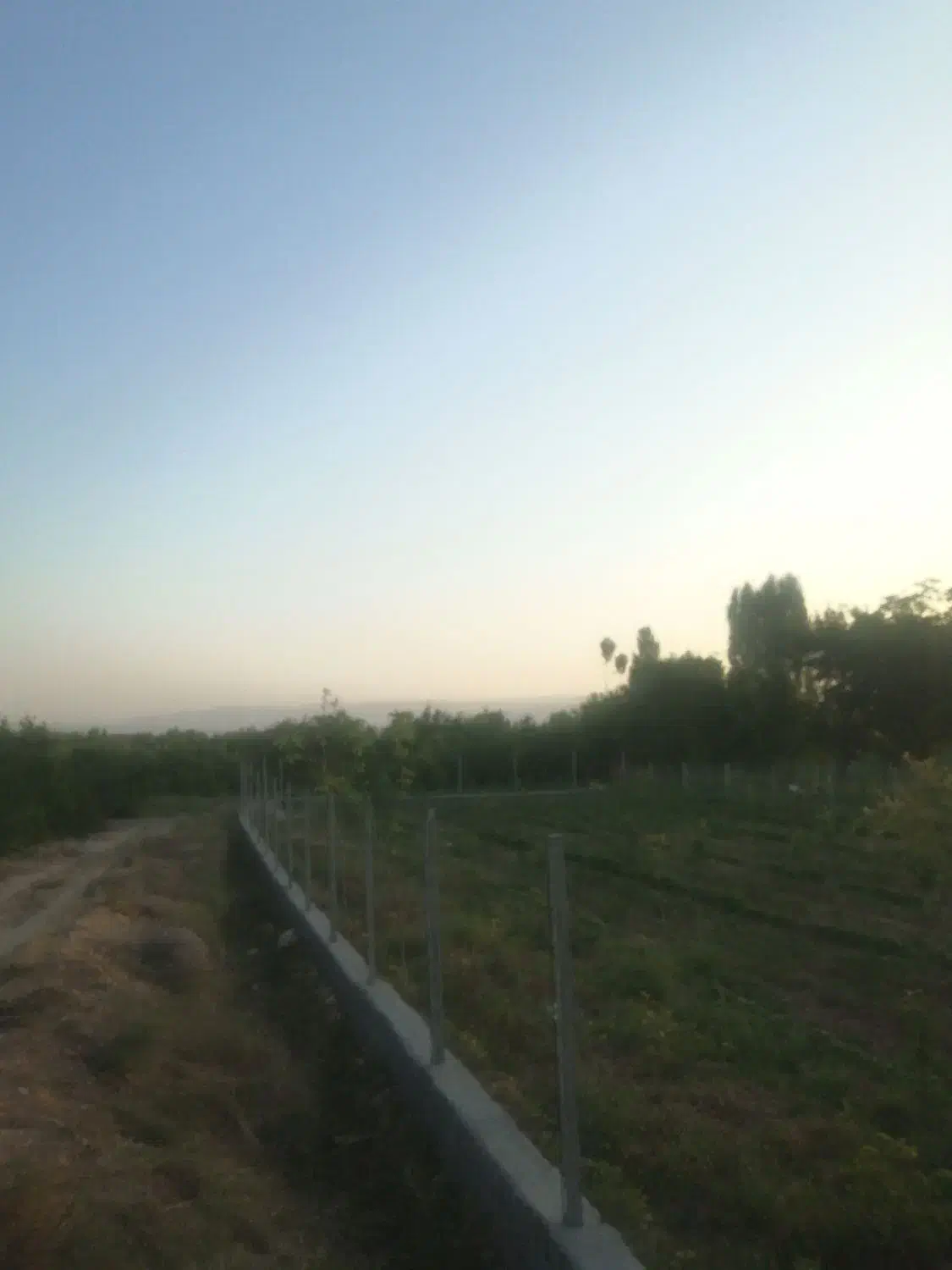 باغ. زمین. کلاته نقی.|فروش زمین و ملک کلنگی|بجنورد, |دیوار