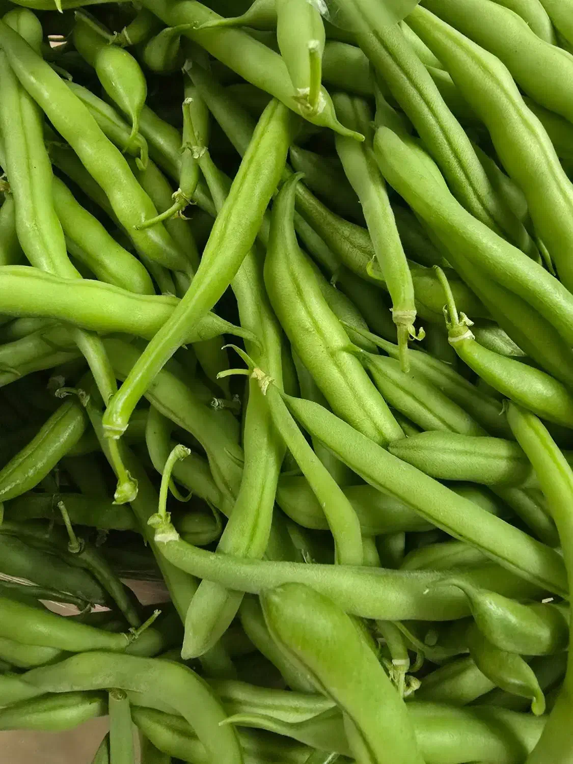 لوبیا سبز|خوردنی و آشامیدنی|خمینیشهر, |دیوار