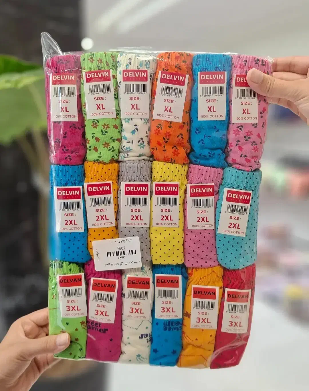 شورت نخی لیفه ای|لباس|قزوین, |دیوار