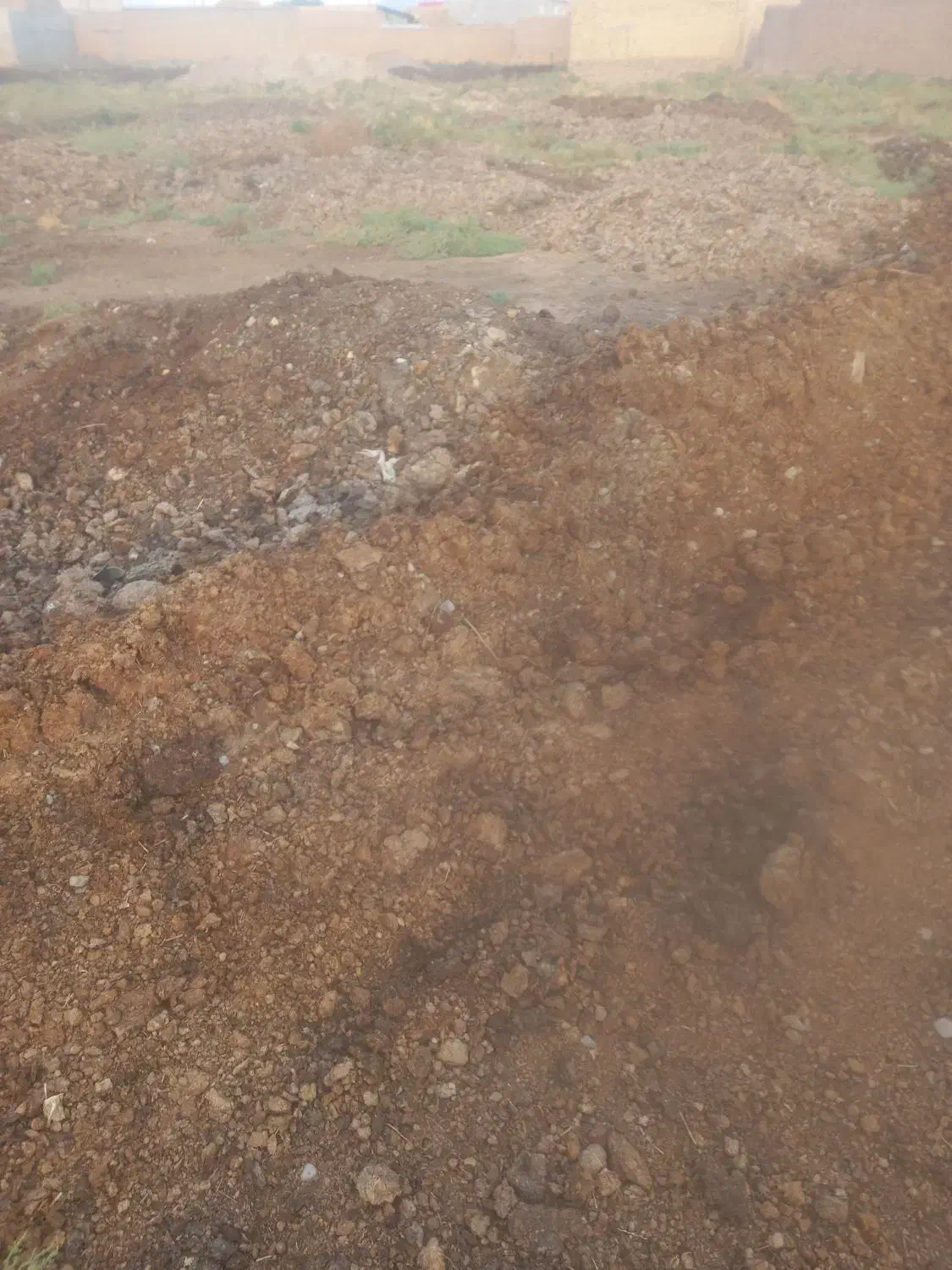 کود حیوانی|خدمات باغبانی و درختکاری|تبریز, |دیوار