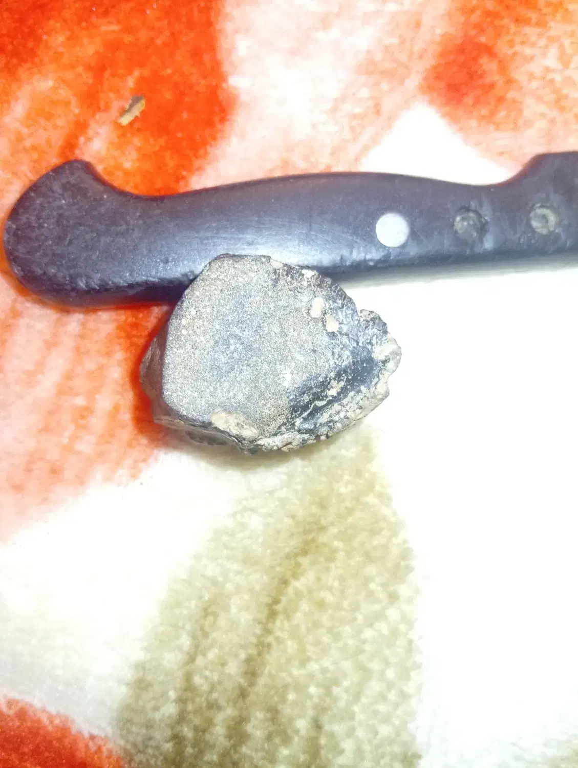 یک‌عدد‌شهاب‌سنگ‌|کلکسیون اشیاء عتیقه|صحنه, |دیوار