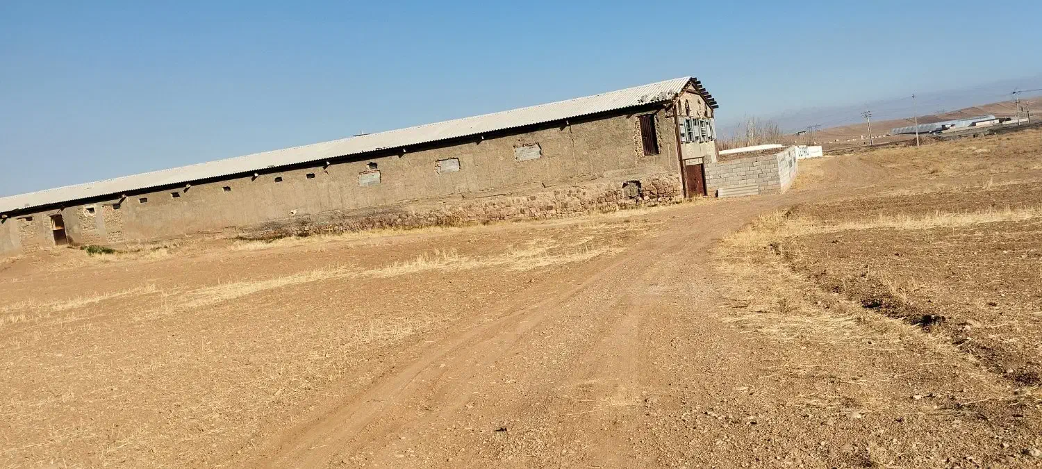 راهنمایی معاوضه فروش بیلوردی پیکان پراید پژو|فعالیت داوطلبانه|خواجه, |دیوار