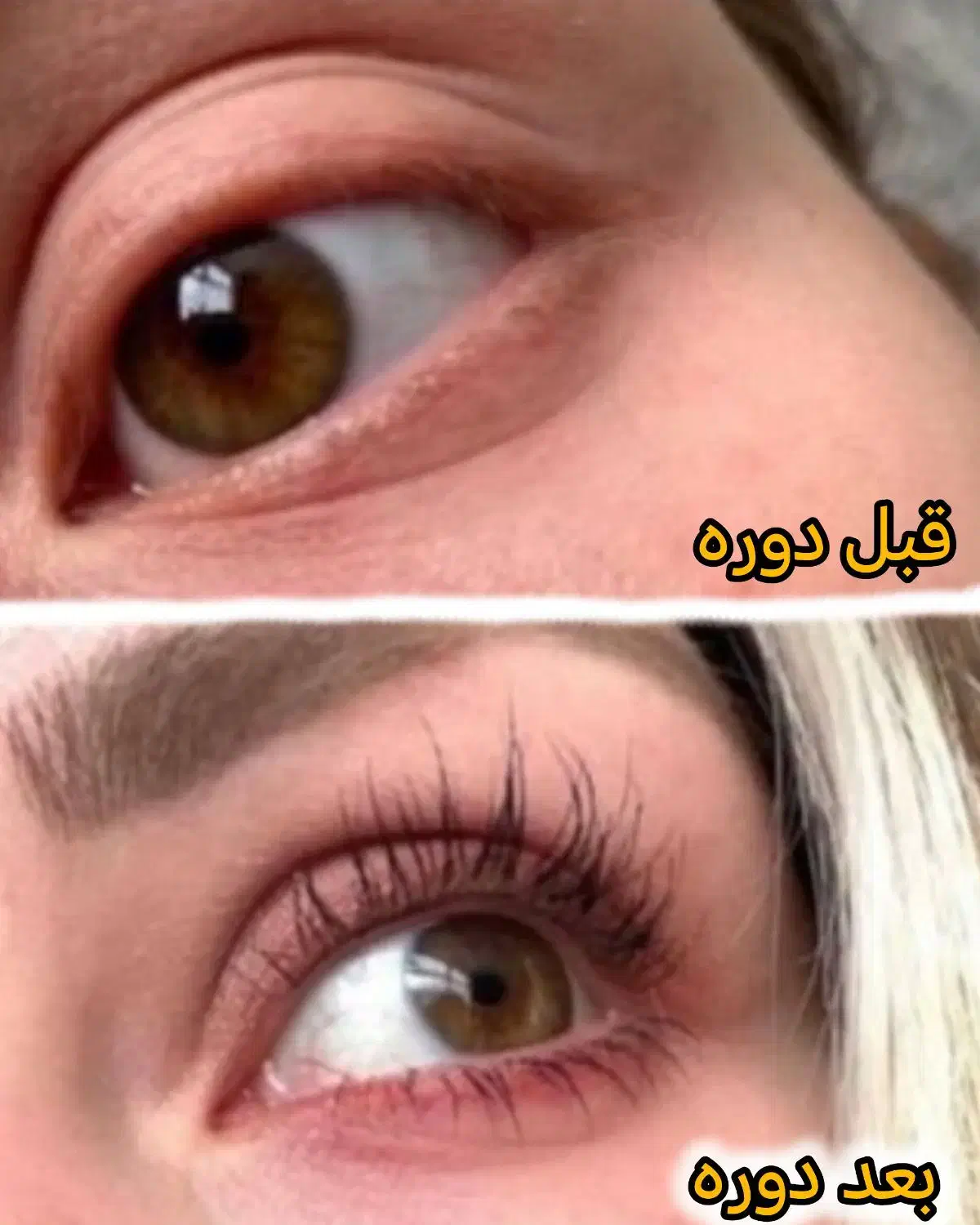 مژه ها و ابروهات رو تقویت و زیبا کن|خدمات آرایشگری و زیبایی|شیراز, ارم|دیوار