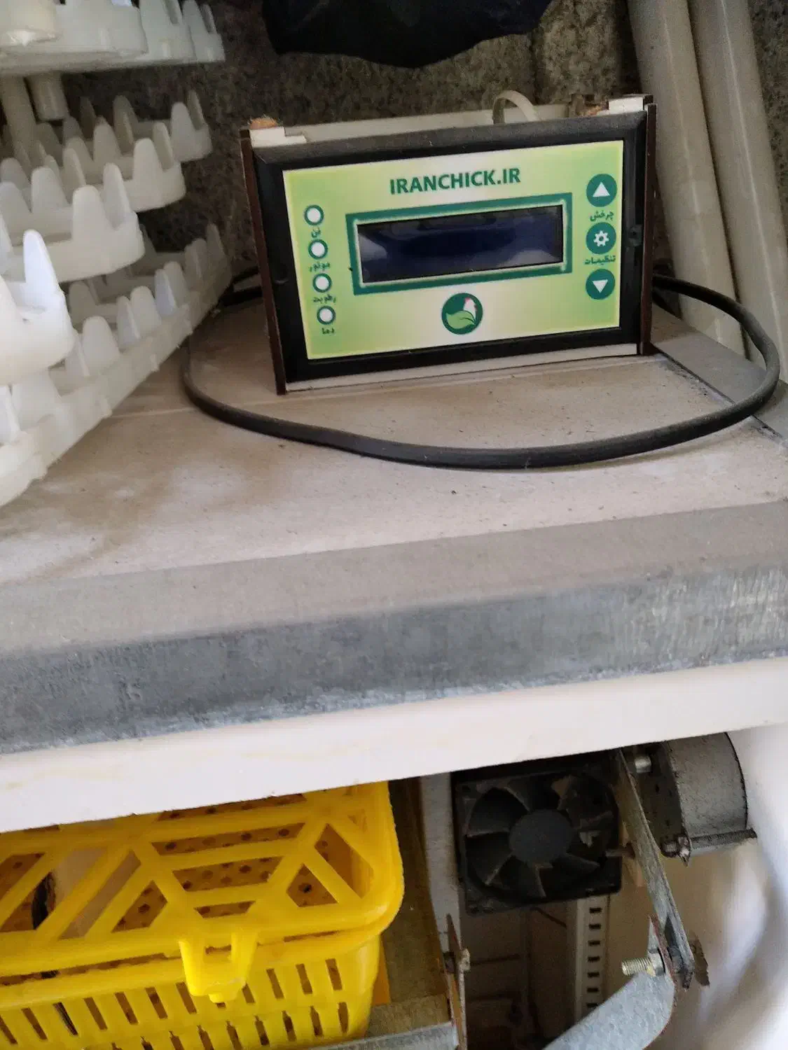 جوجه کشی آسان با دستگاه 168عددی ایران چیک|لوازم جانبی حیوانات|بندر انزلی, چهارفریضه|دیوار