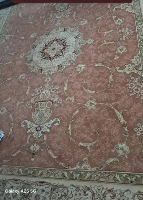 فروش فرش|فرش|نوشهر, |دیوار