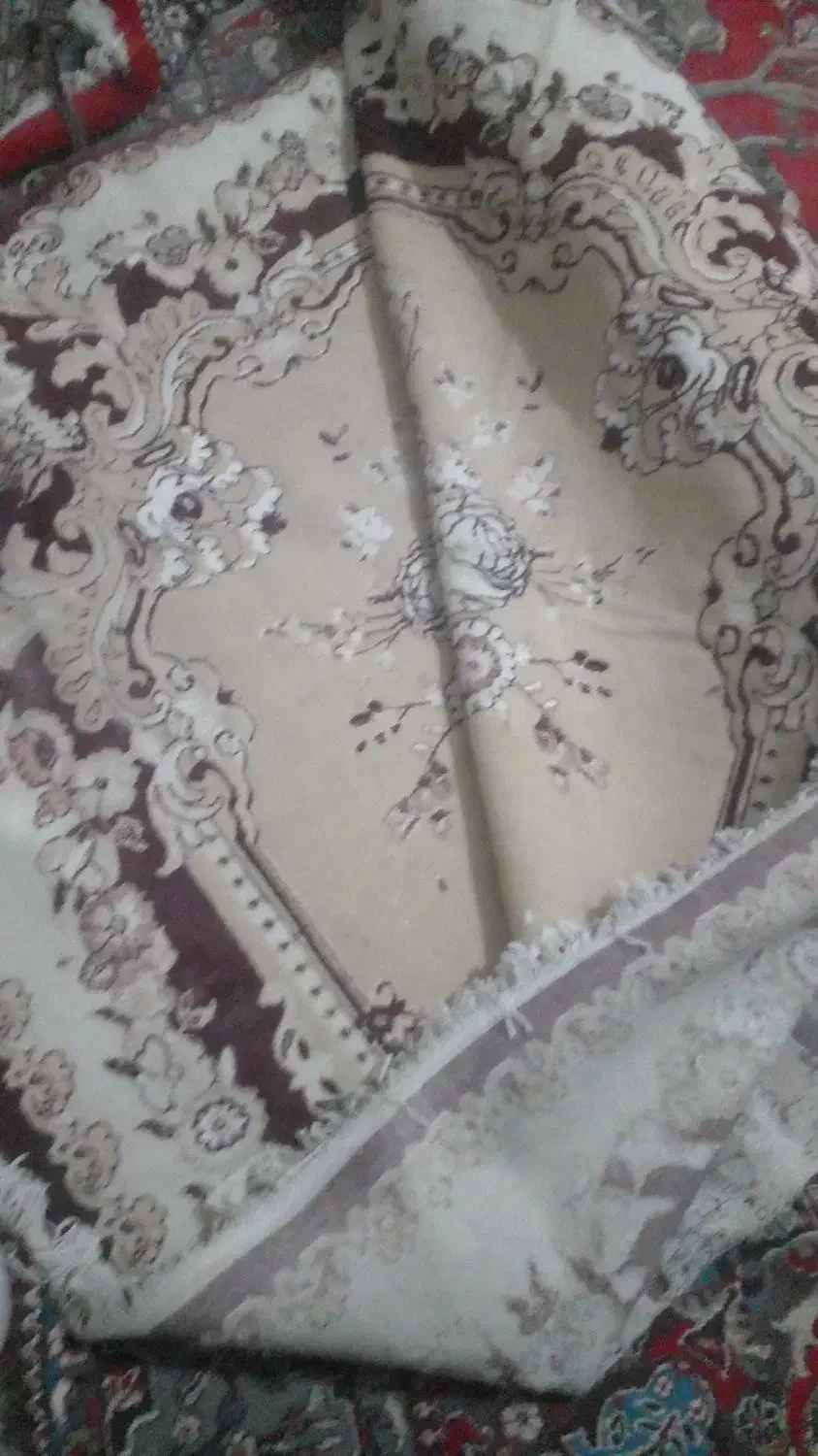 فرش|فرش|زهک, |دیوار