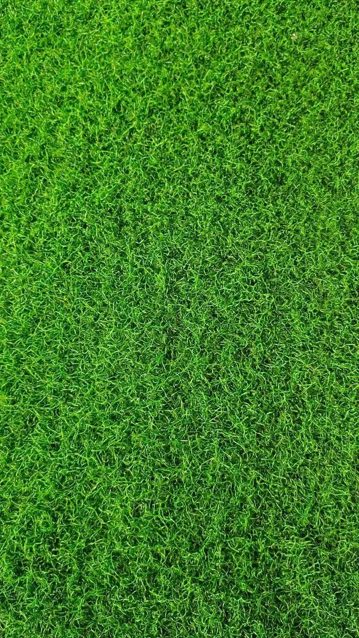 چمن مصنوعی دپو اصفهان قیمت نمایندگی|مصالح و تجهیزات ساختمان|اصفهان, برازنده|دیوار