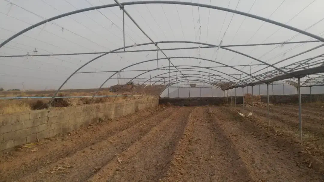 سازه گلخانه 1100 متر|مصالح و تجهیزات ساختمان|دزفول, |دیوار