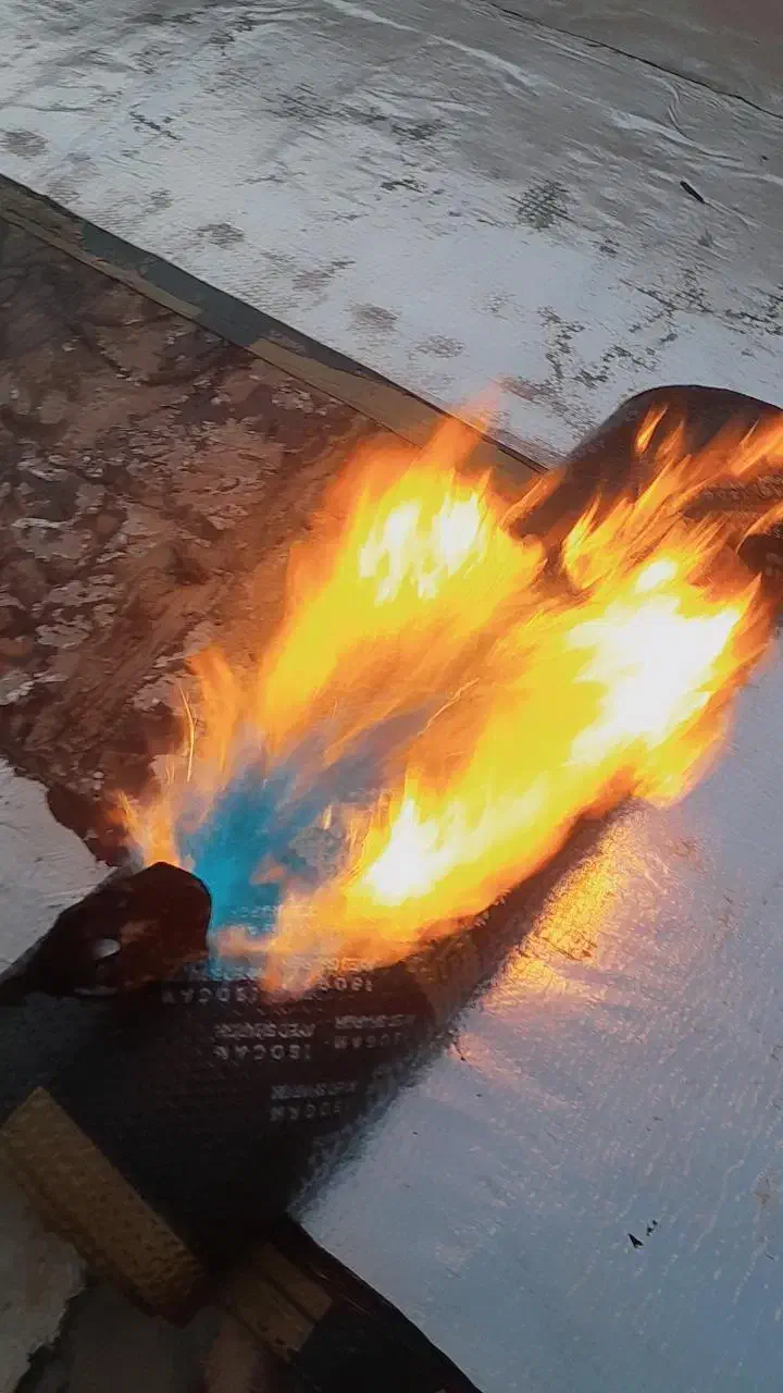 ایزوگام نقد و اقساط|خدمات پیشه و مهارت|شوش, |دیوار