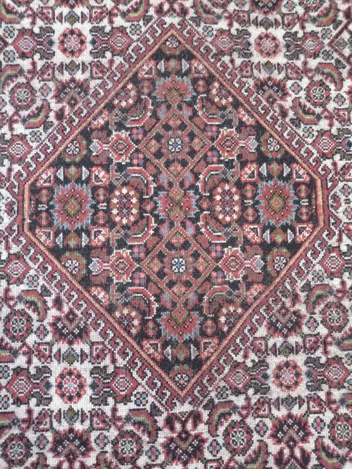 فرش شش متری|فرش|زنجان, |دیوار