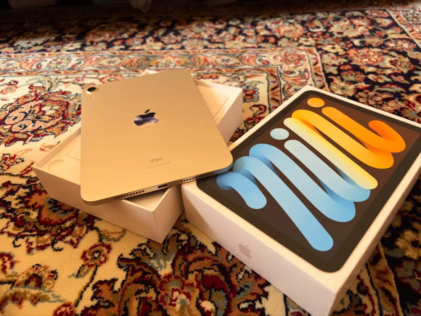 Ipad mini 6 wifi|تبلت|تربت‌حیدریه, شهید قرنی|دیوار