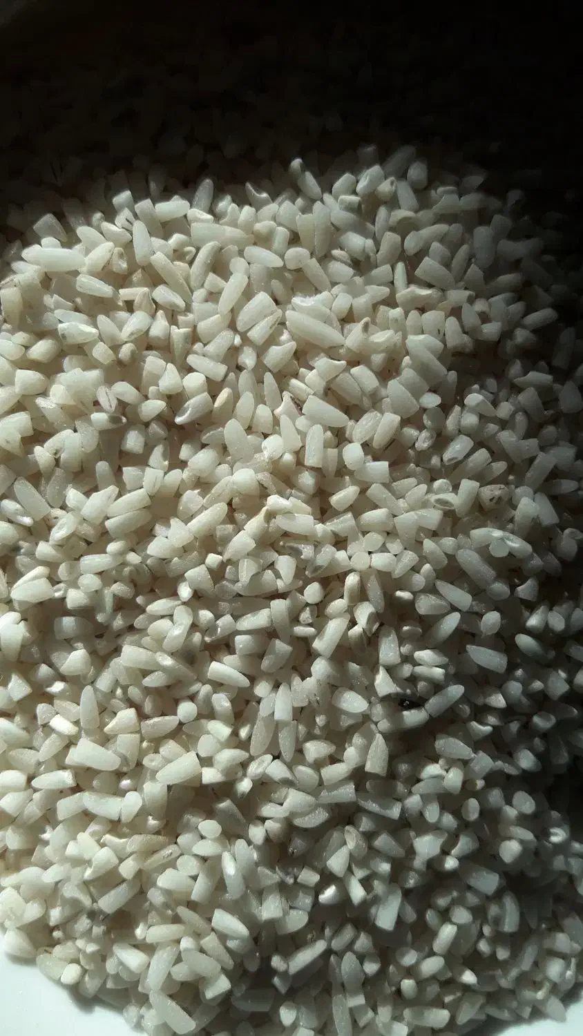 نیمه دانه هاشمی .|خوردنی و آشامیدنی|تولم شهر, |دیوار