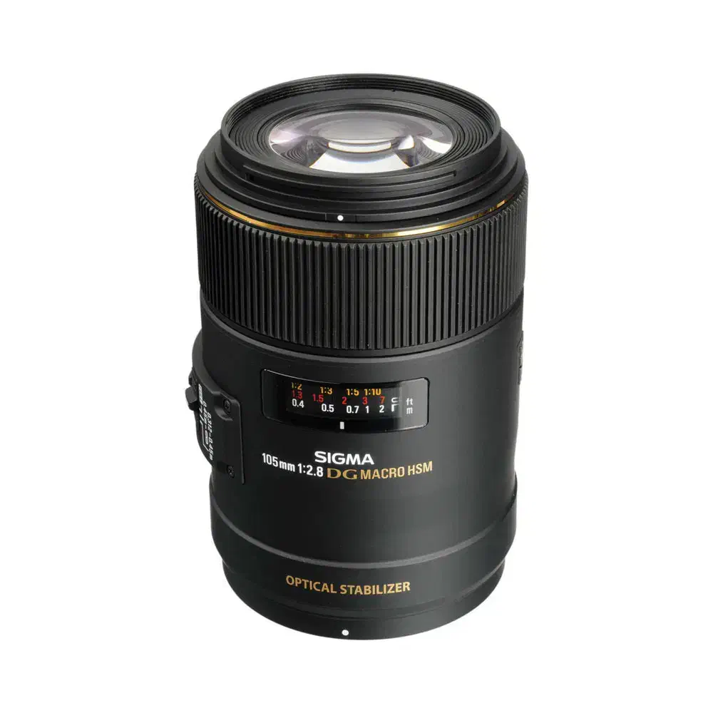 لنز ماکروی 105 سیگما ماونت نیکون|دوربین عکاسی و فیلمبرداری|رشت, پستک|دیوار