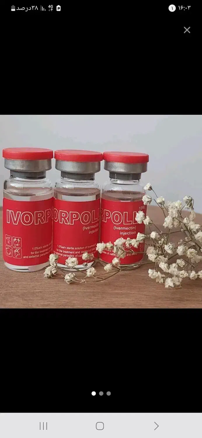 محلول اپورپیریل (ضد شپش)|آرایشی، بهداشتی، درمانی|بناب, |دیوار