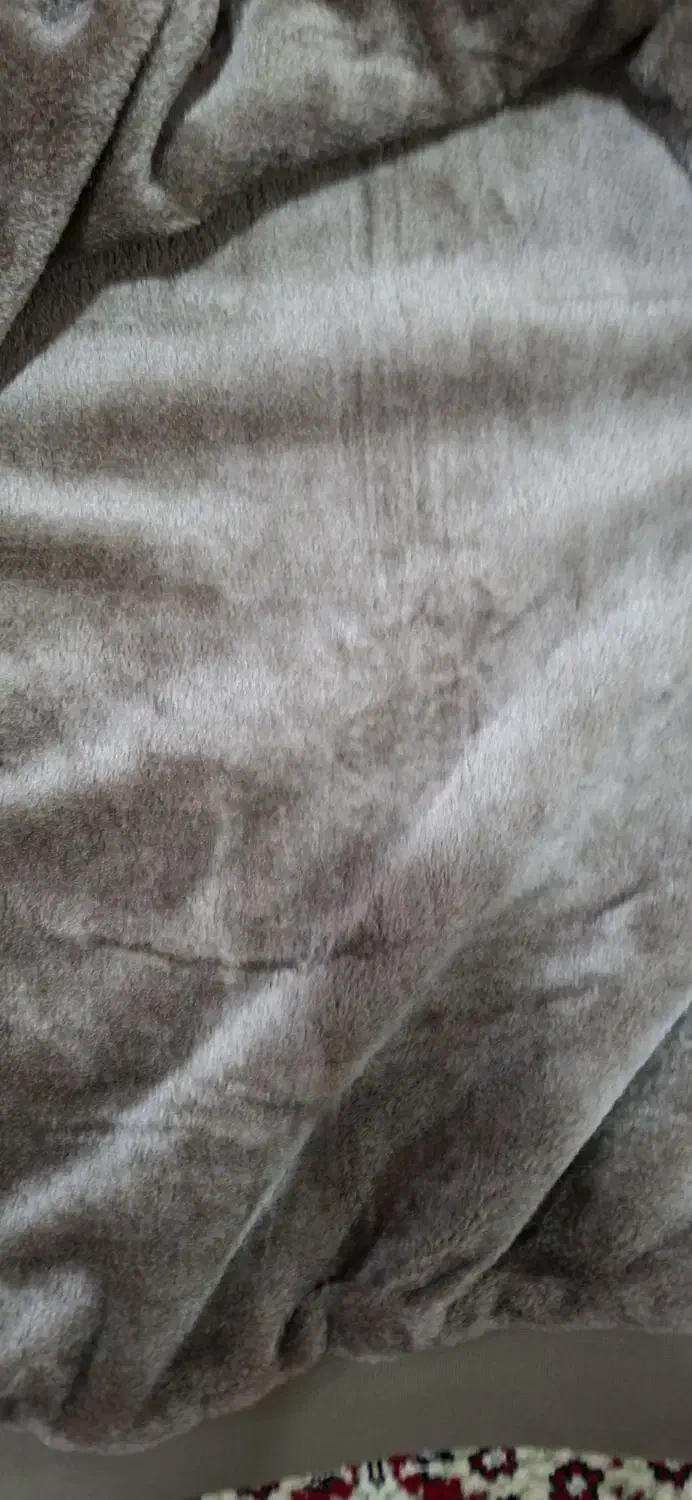 سویشرت وشلوار ست|لباس|بروجرد, |دیوار