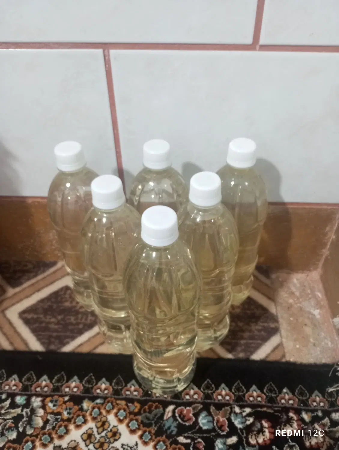 گلاب خانگی|خوردنی و آشامیدنی|فیروزآباد (فارس), |دیوار