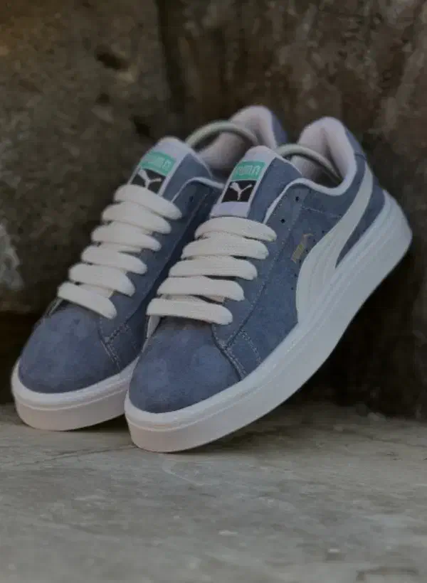 کفش|کیف، کفش، کمربند|مراغه, |دیوار