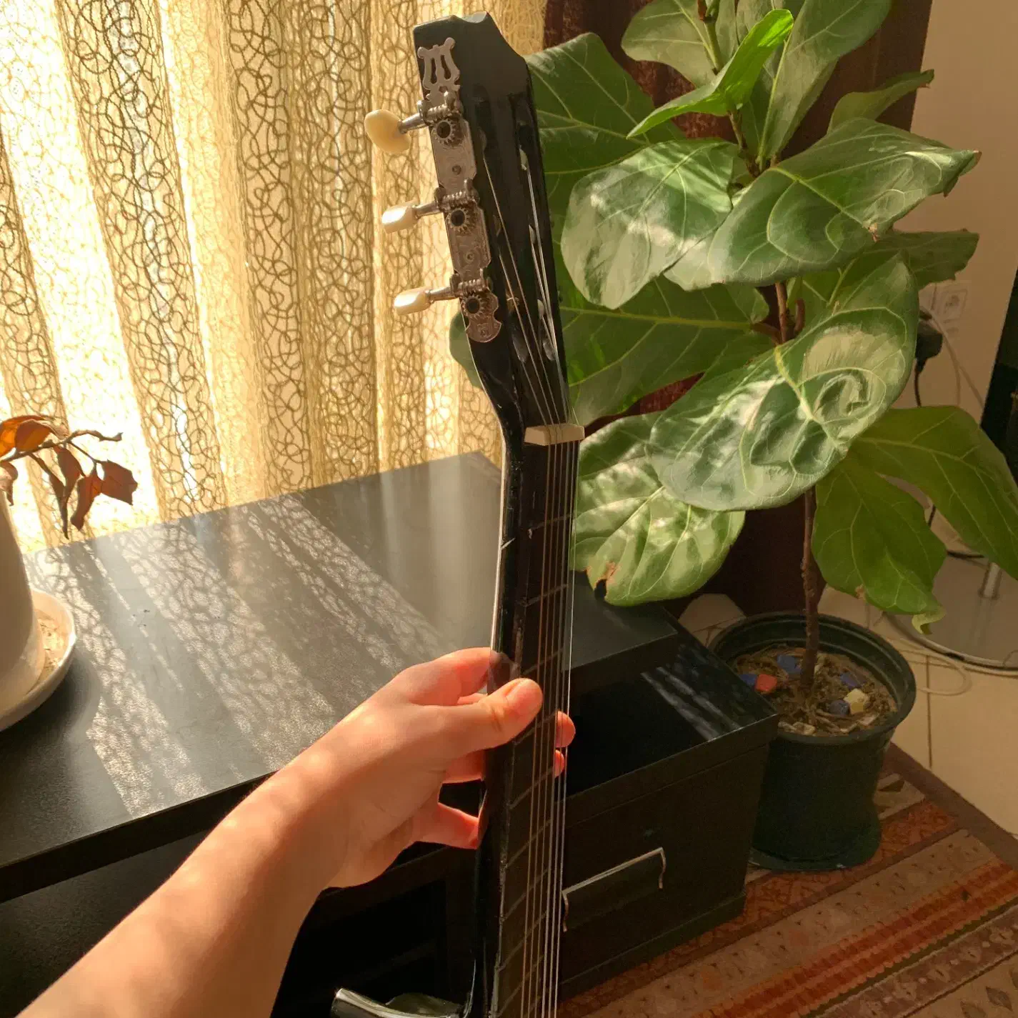 گیتار مشکی نو|گیتار، بیس، امپلیفایر|تهران, پونک|دیوار