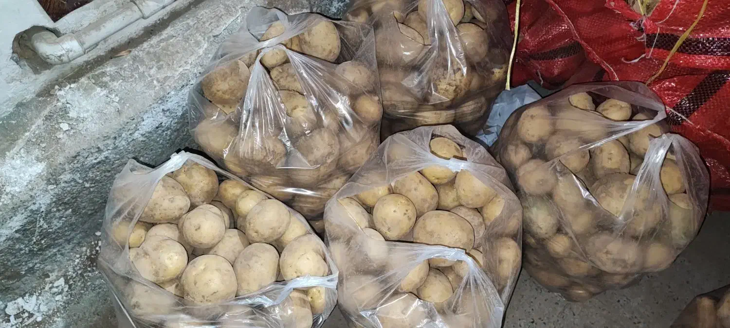 سیب زمینی|خوردنی و آشامیدنی|شهریار, کهنز|دیوار