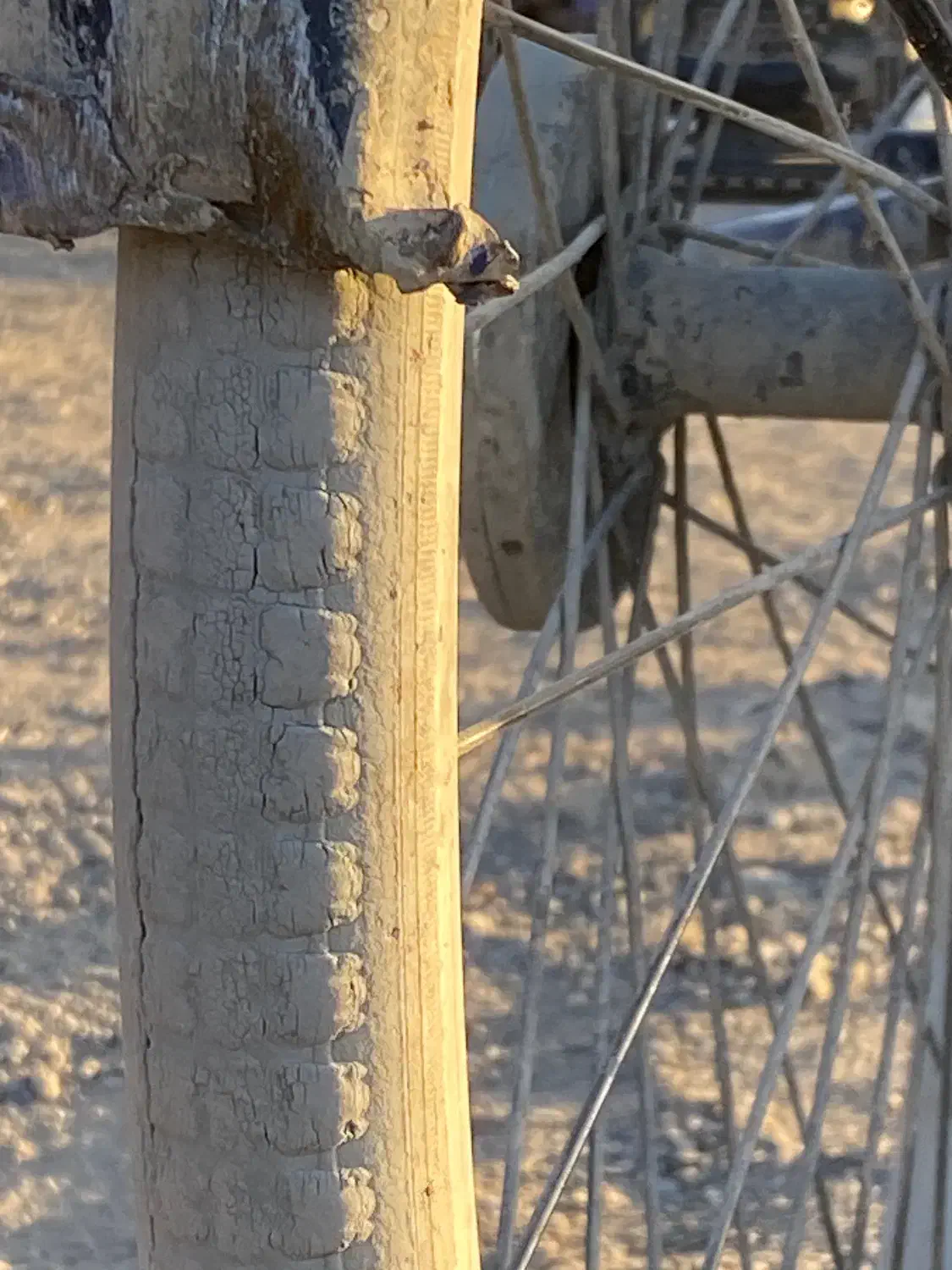 دوچرخه ۲۴ژاپنی روان|دوچرخه، اسکیت، اسکوتر|ایرانشهر, |دیوار