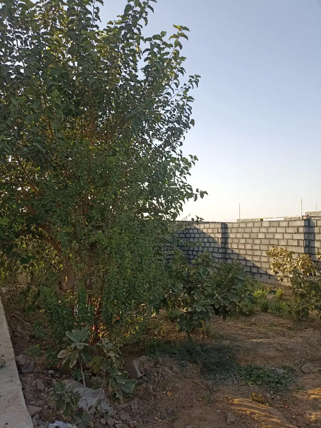 فروش ویلا دوبلکس با آب و برق شهری در ساوه|فروش زمین و ملک کلنگی|اسلامشهر, شهرک احمدیه|دیوار